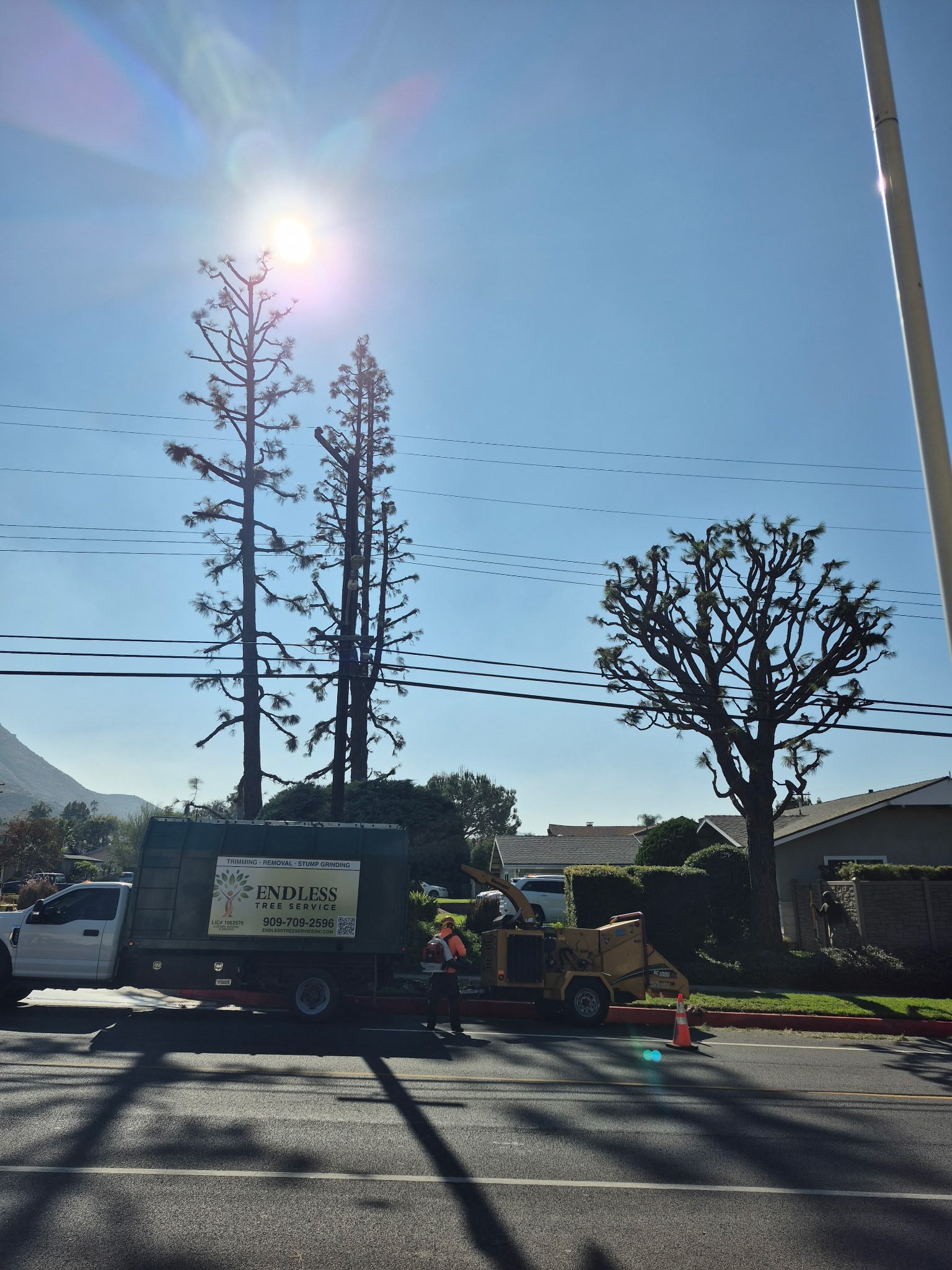 Endless Tree Service Chip Truck & Wood Chipper Operations