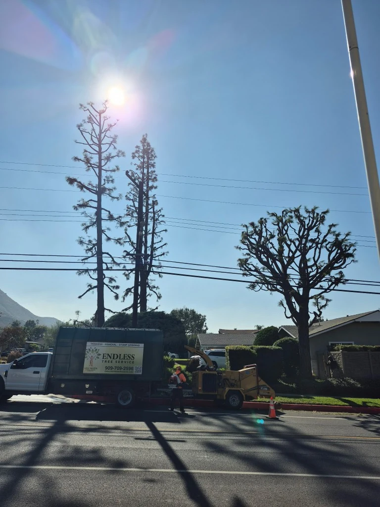 Endless Tree Service Chip Truck & Wood Chipper Operations