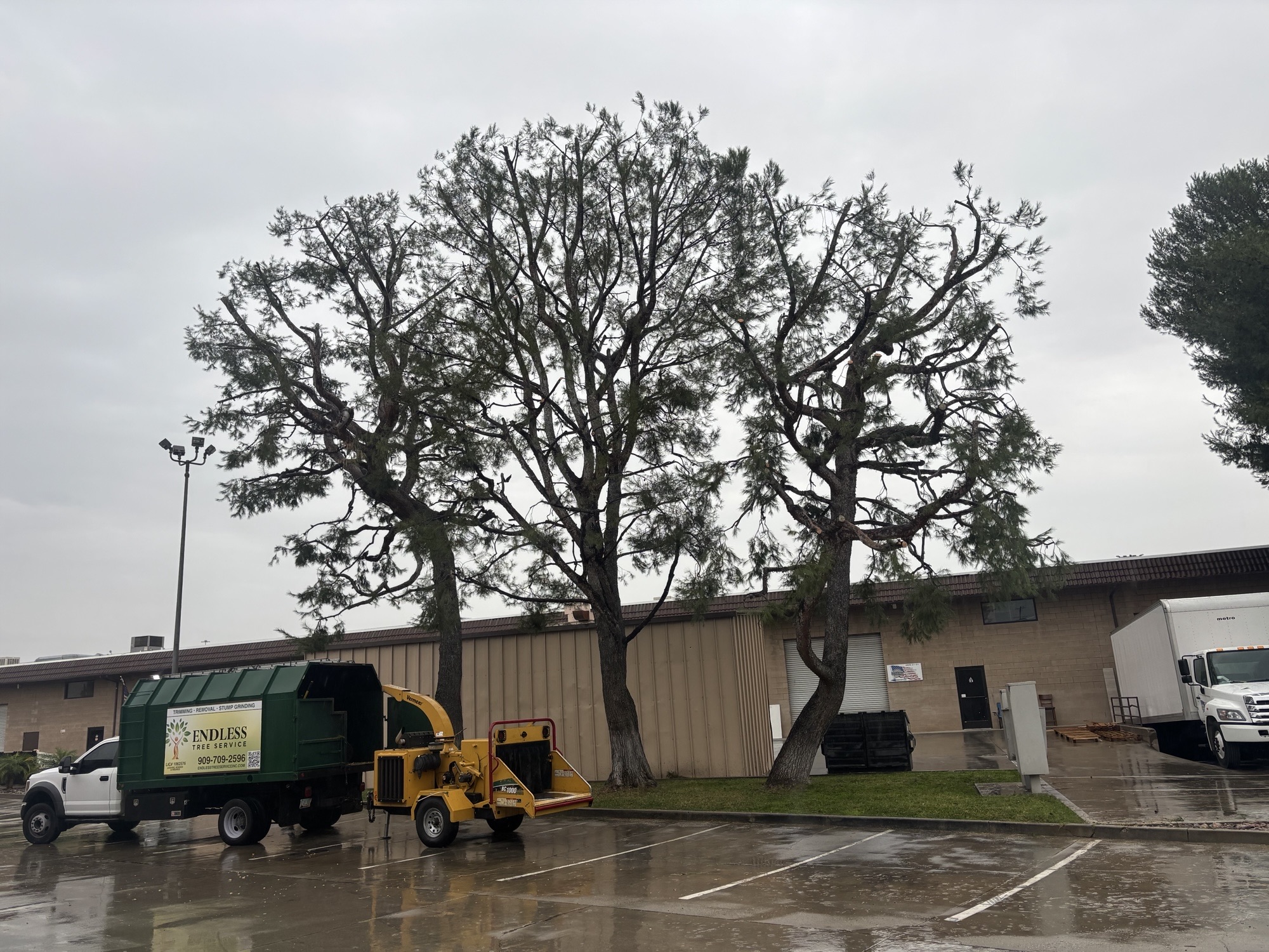 Commercial Tree Clearance & Chipper Rig
