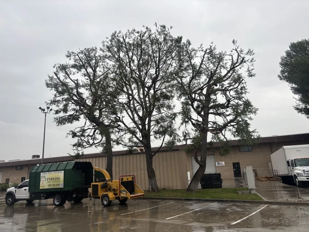 Commercial Tree Clearance & Chipper Rig