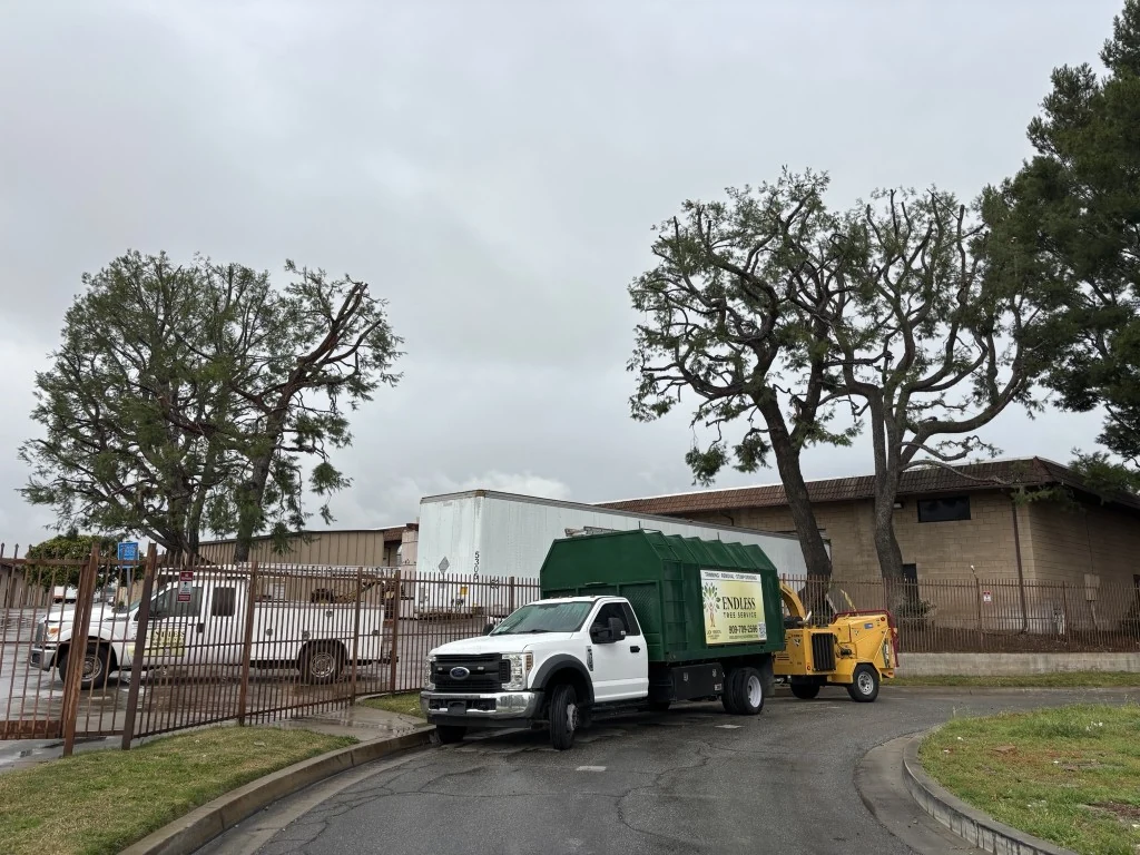 Endless Tree Service Commercial Fleet On Site